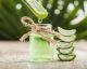 12 Gesundheitseffekte von Aloe Vera, die kaum jemand kennt