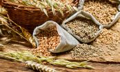 Trend zur Unverträglichkeit: Ist Gluten wirklich ungesund?
