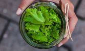 So bleibt euer SALAT länger GRÜN und FRISCH