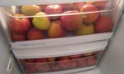 An apple a day keeps the doctor away - Stimmt's oder stimmt's nicht?