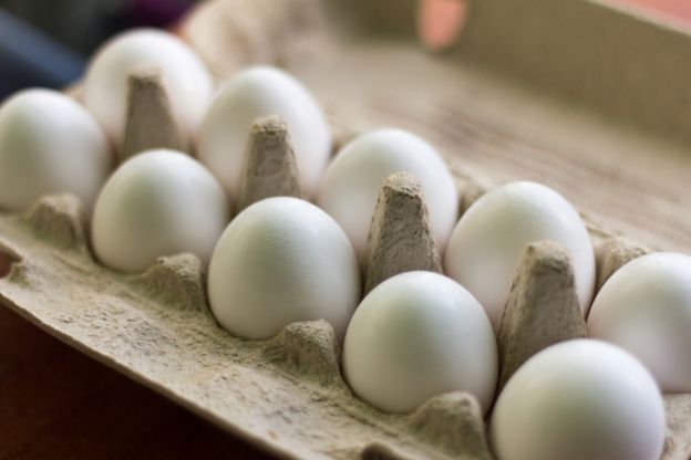 Was kosten die Eier und wo kann man sie kaufen?