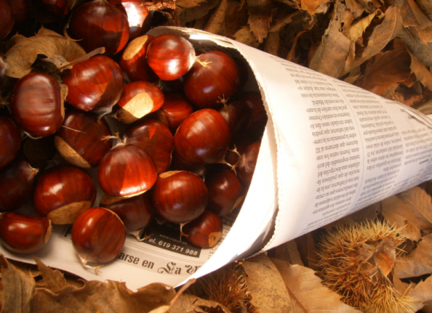 Der gesunde Winter-Snack