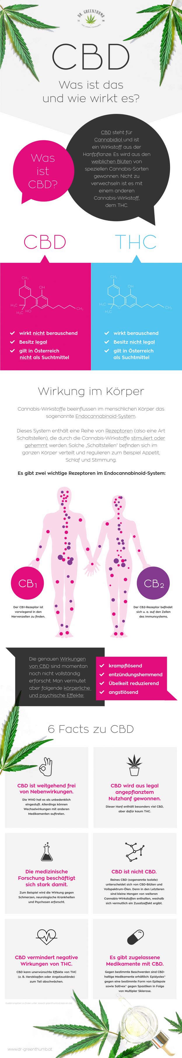 Wie wird CBD verarbeitet?