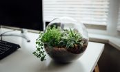 Anleitung für euer eigenes, schickes DIY-Mini-Terrarium