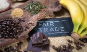 Wie fair ist Fair Trade wirklich?