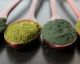 Spirulina - Die Superalge für dein Immunsystem