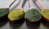 Spirulina - Die Superalge für dein Immunsystem
