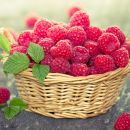 Diese Superfoods solltet ihr essen
