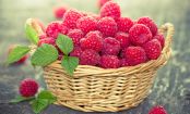 Diese Superfoods solltet ihr essen