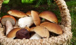 Saisonal kochen in Herbst und Winter - Inspiration von Gemüse bis Wild