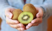 Fruchtiges, erfrischendes KIWISORBET ganz ohne Eismaschine