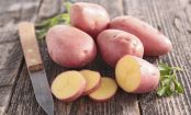 Gesundes Frühstück: Das bringen stärkehaltige Lebensmittel