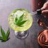 CBD Foods & Drinks