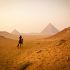Kamelreiten, Ägypten