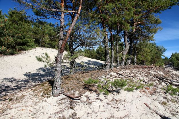 5: Kurische Nehrung - ein Highlight Litauens
