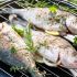 Gegrillte Forelle mit frischen Kräutern
