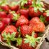 Schritt 6: Sorgt gut für eure Erdbeeren