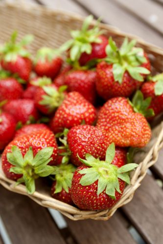 Schritt 6: Sorgt gut für eure Erdbeeren