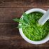 Rucola-Pesto