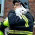 Im dänischen Aabenraa rettete dieser Feuerwehrmann nicht nur Menschen aus den Flammen