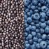 Acai vs. Blaubeeren