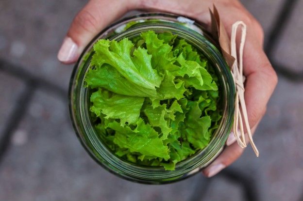 Grüner Salat