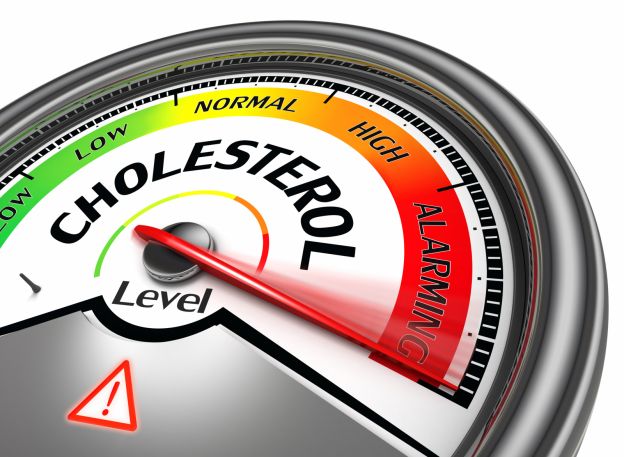 Senkt den Cholesterinspiegel