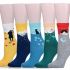 4.	Süße Katzensocken für Kinder