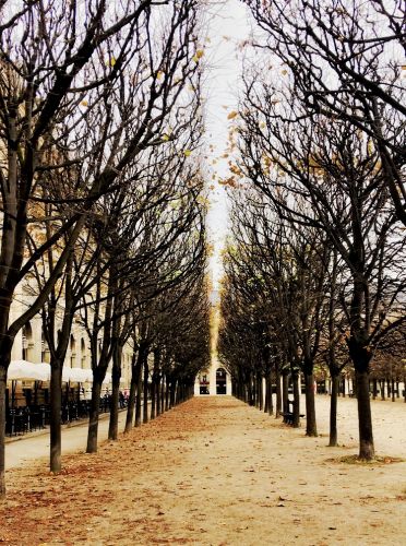 Jardin du Palais Royale