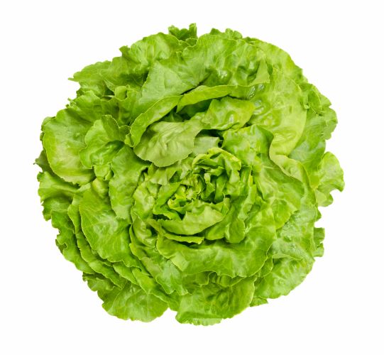 Blattsalat