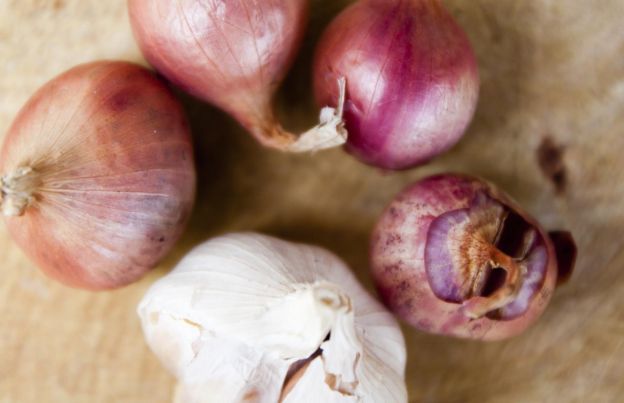 Zwiebeln und Knoblauch