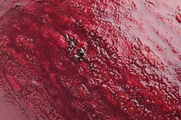 8. Passionsfrucht, Rote Bete oder Pflaume?