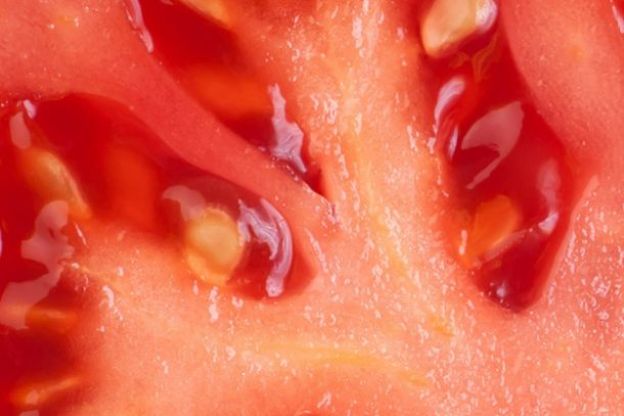 1. Granatapfel, Erdbeere oder Tomate?