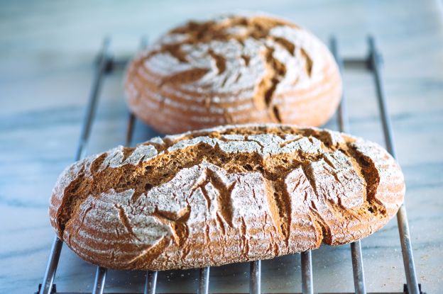 Fermentierte Lebensmittel wirken entgiftend