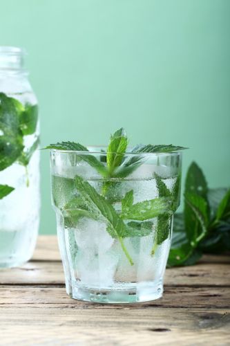 Detox Water mit Minze