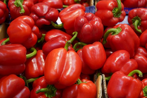 Rote Paprika