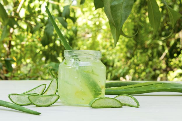 Die phantastischen Eigenschaften der Aloe Vera