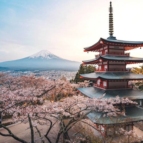 Den Berg Fuji besuchen, Japan