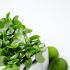 Baby-Spinat, Feldsalat und Kresse