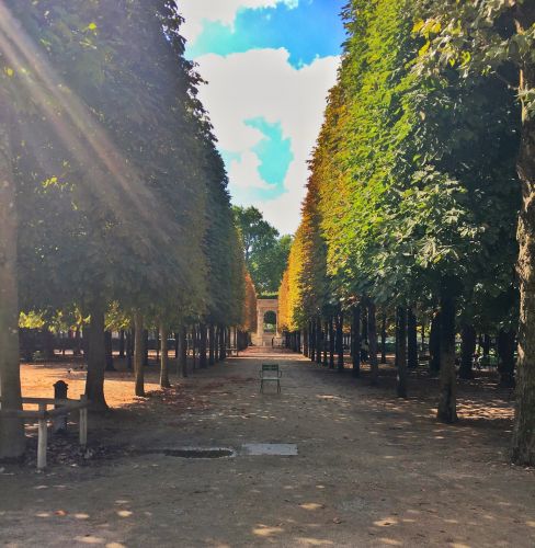 Jardin des Tuileries