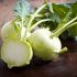 Kohlrabi