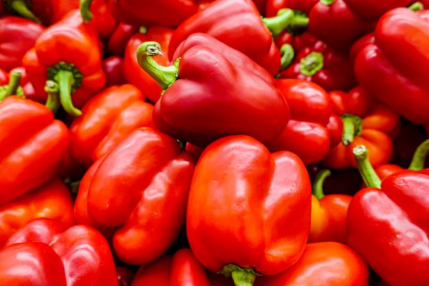 Rote Paprika