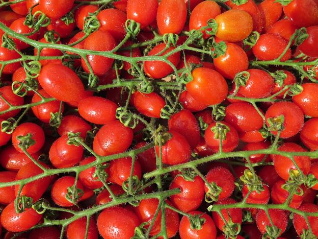 Tomaten