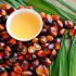 Palmöl in der Lebensmittelindustrie