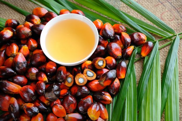 Palmöl in der Lebensmittelindustrie