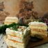 Sandwiches mit Thunfischcreme