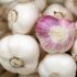 Knoblauch: Aromatische Knoblauchsuppe