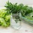 Kräuter und Salat in Wasser frisch halten