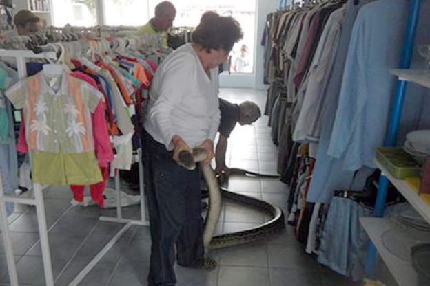 Wenn Du einkaufen willst, aber der Laden vor Schlangen wimmelt