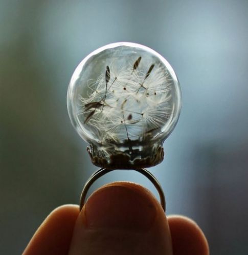 Wilde und verrückte Ringe